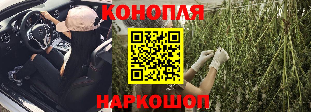 Бошки марихуана тримм  Вход с VPN  Ачинск  Конопля MAZAR  Шишки марихуана планчик 
